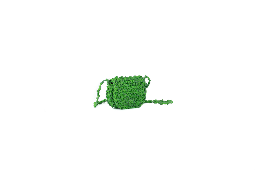 CA 1498 MINIATURE | IRIS | KIWI - Calonge