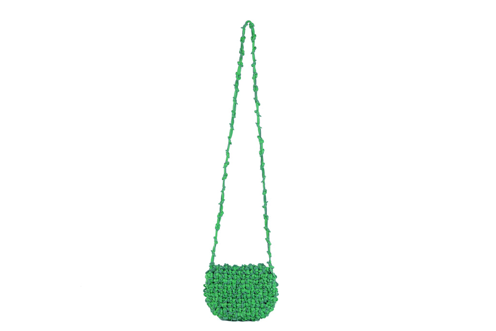 CA 1498 MINIATURE | IRIS | KIWI - Calonge
