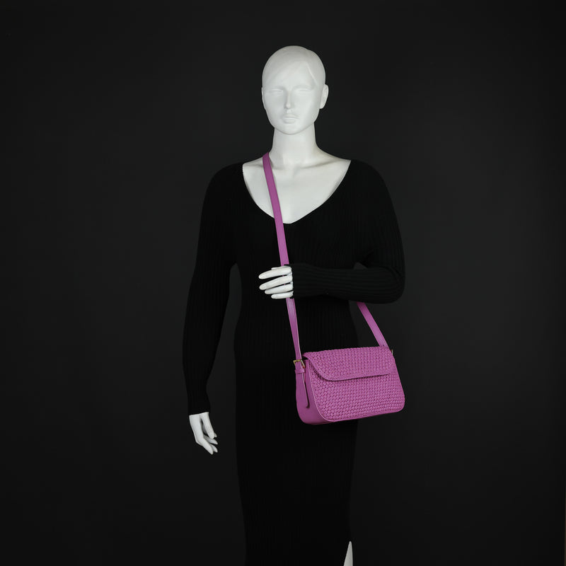 CA 1169 OCTO ROSE Calonge